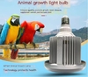 Aiplong Animal Growth Lamp Pet Pig, Cow, Sheep Fattening Chicken, Bird, Parrot, Pigeon Breeding Insect Breeding Supplementary Light