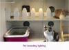 Aiplong Animal Growth Lamp Pet Pig, Cow, Sheep Fattening Chicken, Bird, Parrot, Pigeon Breeding Insect Breeding Supplementary Light