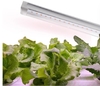 Full spectrum plant growth supplement lamp simulates sunlight for indoor planting of strawberries, hydroponics, leafy vegetables, flowers, and green plants